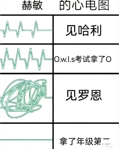 这是一张基于《哈利·波特》IP创作的趣味同人梗图，标题为“赫敏 的心电图”，通过四种不同状态的心电图，对应赫敏在四种场景下的情绪反应：见到哈利时心电图呈现规律的平稳波动，体现出日常相处的平静心态；在O.W.L.s巫师等级考试拿到最高等级O时，心电图波动频率变高，表现出喜悦但仍不失沉稳的状态；见到罗恩时心电图变成杂乱缠绕的线条，夸张地表现出她面对罗恩时内心的慌乱、心跳紊乱，呼应二人之间的懵懂情愫；当拿到年级第二时心电图变成直线，调侃了学霸赫敏对成绩的高要求，表现出她对非第一名的极度失落。整张图用夸张的视觉化方式，贴合赫敏的人物设定，趣味化呈现她的情绪反差。