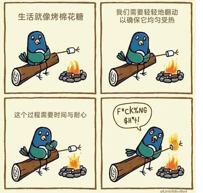 这是一组四格连环卡通漫画，用拟人化的小鸟烤棉花糖的过程来映射生活：
1. 第一格提出比喻：「生活就像烤棉花糖」；
2. 第二格给出「正向指导」：需要轻轻翻动确保均匀受热；
3. 第三格强调「耐心的重要性」：这个过程需要时间与耐心；
4. 第四格突然反转：小鸟的棉花糖意外着火，它瞬间暴怒爆粗，完美还原了人们在生活中努力维持耐心，却因突发状况瞬间破防的真实状态，反差感拉满，搞笑又扎心。
无谐音梗或双关，核心是反转带来的情绪共鸣。