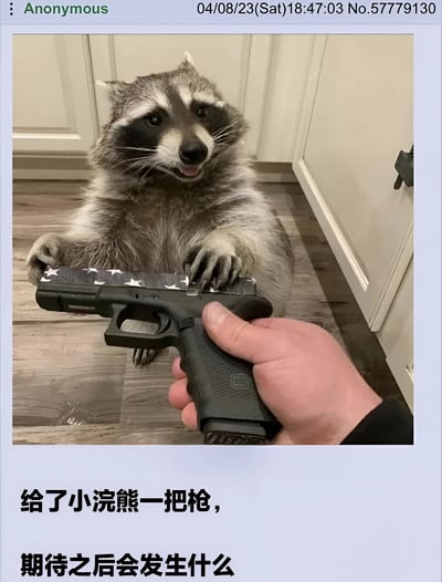 图片中一只浣熊坐在厨房地板上，前爪放在一把带有美国国旗图案的手枪上，一只人手正握着这把枪。图片下方配有文字：'给了小浣熊一把枪，期待之后会发生什么'，营造出一种荒诞幽默的效果。