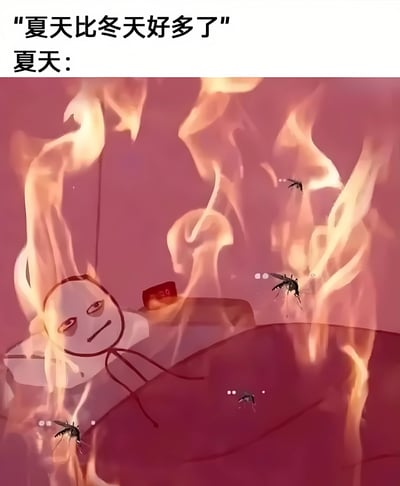 一张幽默梗图，上方文字写着'夏天比冬天好多了'，下方配图展示了一个卡通人物在火焰中躺在床上，周围有蚊子飞舞，用夸张的方式表现夏天的炎热和蚊虫问题，形成有趣的反差。