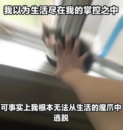 图片展示了一只黑白相间的猫正从窗户缝隙中奋力逃脱，一只人手试图从后方抓住它，画面因快速移动而产生模糊效果。图片上方配有文字“我以为生活尽在我的掌控之中”，下方对应文字“可事实上我根本无法从生活的魔掌中逃脱”。通过猫逃脱与手试图掌控的动态对比，幽默地隐喻了人们以为能掌控生活，实则常被生活“拿捏”的无奈现实。