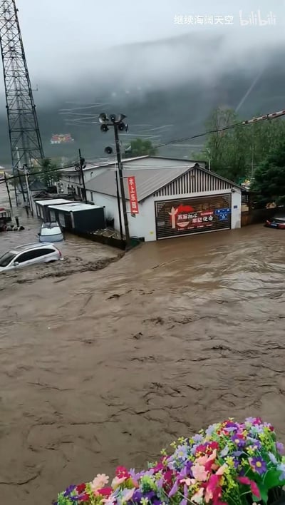 这是一张竖屏实拍的洪水灾害现场图，浑浊的黄色洪水完全淹没了城镇街道，多辆私家车被洪水浸泡，水位接近车顶；画面中的房屋外挂有“水上乐园”的红色指示牌，卷帘门上印有“不忘初心 牢记使命”的标语，房屋周边的电线杆、通讯塔在雨雾弥漫的环境中显得杂乱，远处山峦被浓雾笼罩。前景处的彩色假花与背景的灾害场景形成鲜明反差，直观展现了强降雨引发洪水带来的破坏性灾情。