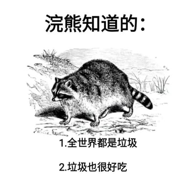 这是一张图文混排的搞笑梗图，采用顶配底文图的呈现形式。图的上方是黑色粗体文字“浣熊知道的：”，中间是一幅黑白线稿风格的浣熊插画，画中的浣熊四肢着地，处于户外的地面环境中，姿态看起来像是在行走或觅食；下方则列出两条以浣熊视角出发的“生存真理”：1.全世界都是垃圾 2.垃圾也很好吃。这张图通过调侃浣熊喜欢翻找人类垃圾觅食的典型习性，将动物的行为拟人化为“生存法则”，制造出荒诞又贴合动物特点的幽默效果，用来以轻松的方式消解情绪。
