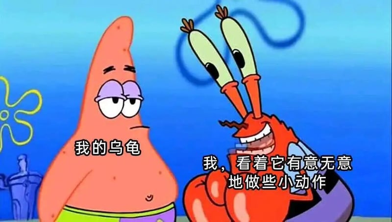 海绵宝宝