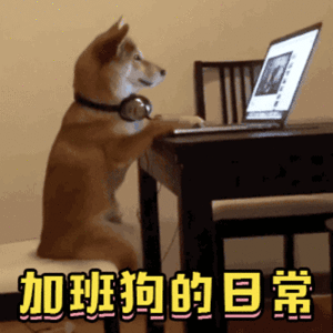 加班狗的日常：柴犬办公表情包