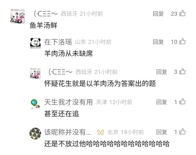 这是一张国内社交媒体评论区的静态截图，展示了5条用户评论，围绕美食汤类尤其是羊肉汤展开轻松趣味的互动。来自西班牙的用户“（·CΞΞ～”首先评论“鱼羊汤鲜”，获得23个赞；山东用户“在下洛瑶”以“羊肉汤从未缺席”回应，收获10个赞；同一西班牙用户接着调侃“怀疑花生就是以羊肉汤为答案出的题”，获3个赞；天津用户“天生我才没有用”评论“甚至还在追”，获1个赞；北京用户“该昵称并没有...”以一串笑声评论“还是不放过他哈哈哈哈哈哈哈哈哈哈哈哈”，获1个赞。评论区氛围轻松，用户们围绕羊肉汤在相关话题中的高频出现进行调侃，充满生活化的趣味。