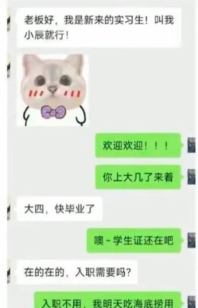 这是一段模拟职场新人入职的微信聊天记录：新来的实习生小辰向老板打招呼并发了一个带蝴蝶结的害羞猫咪表情包，老板热情欢迎后询问小辰的年级，得知小辰是大四即将毕业的学生后，询问其学生证是否还在，在小辰疑惑是否入职需要时，老板回复是自己明天吃海底捞要用。这段对话用职场场景和生活需求的反差制造出搞笑效果，风格轻松接地气，没有双关、谐音梗等特殊修辞。
