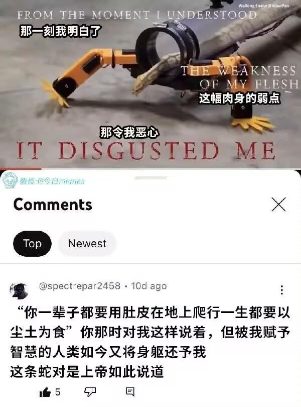 圣经