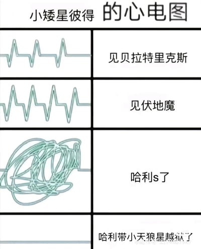 这是一张以《哈利·波特》角色小矮星彼得为核心的趣味梗图，通过心电图的变化夸张呈现他在不同场景下的心理状态：第一部分对应“见贝拉特里克斯”，心电图是规律的波动，体现他此时仅处于常规的紧张状态；第二部分对应“见伏地魔”，心电图波动幅度更大、频率更高，表现他对伏地魔的深层恐惧；第三部分对应“哈利s了”，心电图变成杂乱缠绕的线条，凸显他得知哈利“死亡”时极度亢奋、混乱的心态；第四部分对应“哈利带小天狼星越狱了”，心电图变为一条直线，代表他彻底绝望、心态崩溃的状态。