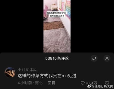 图片展示了一个城市居民在室内地板上开辟小菜园的有趣场景。房间地面上铺设了一块长方形的泥土区域，几株嫩绿的蒜苗已经从泥土中生长出来。图片上方配有文字“住在城里种点菜容易吗? 我的蒜苗长出来了”，表达了城市居民对种植蔬菜的渴望和创新解决方式。下方评论区中一条高赞评论“这样的种菜方式我只在mc见过”引发共鸣，将这种在室内地板上直接铺土种菜的方式幽默地比作游戏《我的世界》(Minecraft)中的简化种植模式，形成了现实与游戏的有趣对比。
