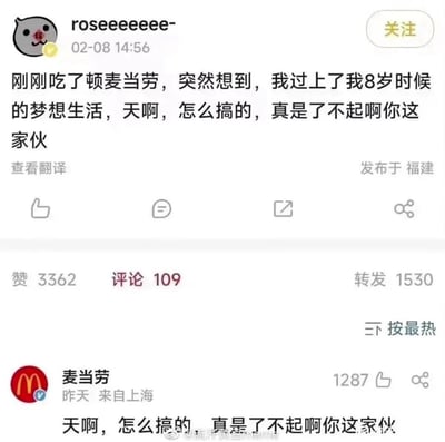 这张梗图来自社交媒体对话，最上方用户感叹，自己实现了童年对“吃麦当劳”梦想生活的愿望，但却幽默自嘲“真是了不起啊你这家伙”，表达了成人后梦想与现实的落差。下方麦当劳官方账号复制了用户的话进行评论，形成自嘲与品牌互动的有趣呼应，带有“自黑式”幽默气息。

这类评论截图常作为社交网络上的自我调侃或品牌拟人化操作的例子在朋友圈、表情包、热帖中流传。

无明显谐音梗，但有自调梦想与现实落差的反差幽默。
