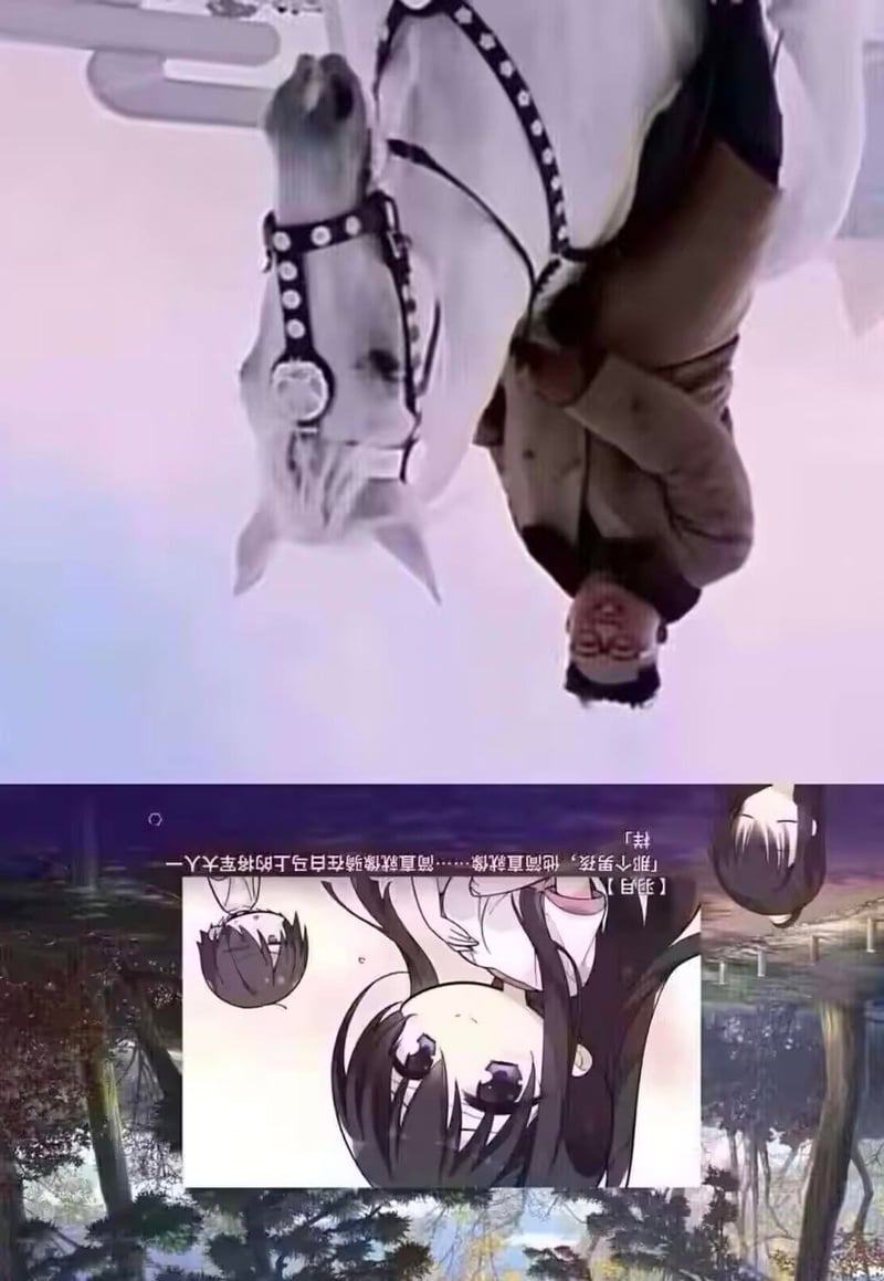 《爱上火车》
