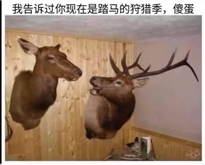 这是一张经过P图改编的搞笑梗图，画面展示了两个被悬挂在木质墙面上的鹿头标本，右侧鹿头张着嘴，仿佛正在说话，图片上方配有文字“我告诉过你现在是踏马的狩猎季，傻蛋”。梗图通过拟人化的方式，让已经被做成狩猎标本的鹿头“事后诸葛亮”般地指责同伴，明明两者都没能逃脱被狩猎的命运，却还要吐槽对方没听自己的提醒，用这种荒诞的黑色幽默制造出强烈的反差笑点，可用来吐槽那些事后才来马后炮的人，或者调侃不听劝告最终自食恶果的情况。