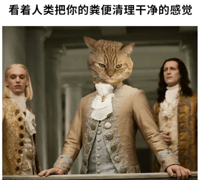 图片上方配有文字“看着人类把你的粪便清理干净的感觉”，下方是一张经过合成的图片。画面中央是一个头戴猫脸、身穿华丽古装的人物，双手扶栏，表情严肃轻蔑，两侧各有一位同样身着古装的人物站立。整体营造出猫咪以高傲姿态看待人类铲屎行为的搞笑效果。