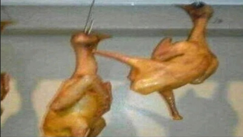 食用肉类食物