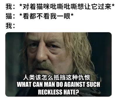 这张梗图通过幽默的方式对比了猫主人试图用"吡嘶吡嘶"声召唤猫咪却被无视的日常场景，与《指环王：双塔奇兵》中希奥顿国王严肃质问"人类该怎么抵挡这种仇恨"的经典电影画面，形成强烈反差萌。上方文字描述了主人的努力与猫咪的冷漠反应，下方截图则用史诗级的严肃表情和台词来表现主人内心的无奈与挫败感。