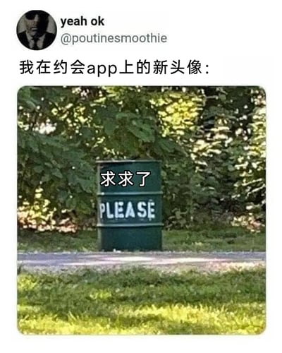 这是一张海外社交平台的截图，用户“yeah ok”（账号@poutinesmoothie）发布动态，表示将配图作为自己在约会APP上的新头像。配图是一张户外实拍图，画面里路边的绿色油桶上印有英文“PLEASE”，还被叠加了中文文字“求求了”。用户通过这种带有自嘲感的方式，用充满恳求意味的油桶头像，搞笑地表达出自己渴望找到约会对象的迫切心情，反差感十足，趣味拉满。
