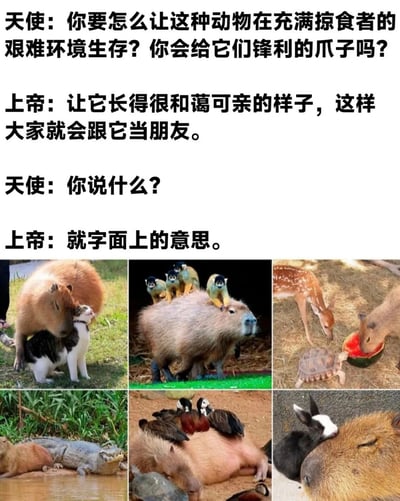 图片上方为天使与上帝的对话文本，天使询问如何让动物在掠食者环伺的环境中生存并提议赋予锋利爪子，上帝则回答让其长得和蔼可亲以结交朋友，天使表露出困惑后上帝强调为字面意思。下方是2行3列共6张真实动物照片组成的拼图，展示水豚与不同动物的友好互动场景：包括与猫依偎、背负猴子、与鹿和乌龟共享西瓜、与鳄鱼共处、被鸭子栖息背部以及与兔子亲昵。通过幽默对话与真实图片结合，调侃水豚凭借温和外表实现跨物种友好共存的生存方式。