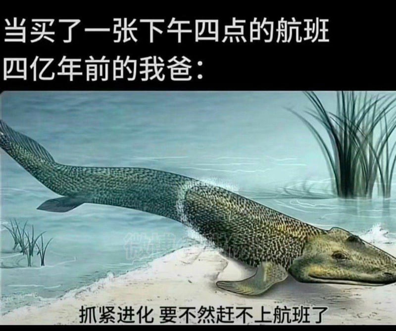 古生物复原图