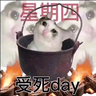 这是一张针对打工人职场情绪创作的网络梗图，创作者将委屈表情的猫咪合成到架在火焰上的铁锅内，猫咪双眼湿润、神情可怜，背景还叠加了同款猫咪的虚影。图中上方标注文字“星期四”，下方用“受死day”谐音英文“Thursday（星期四）”，把打工人临近周末却仍需工作的疲惫、煎熬情绪具象化，用猫咪即将被“煮”的画面调侃星期四的难熬，精准戳中职场群体的情绪痛点，引发共鸣。