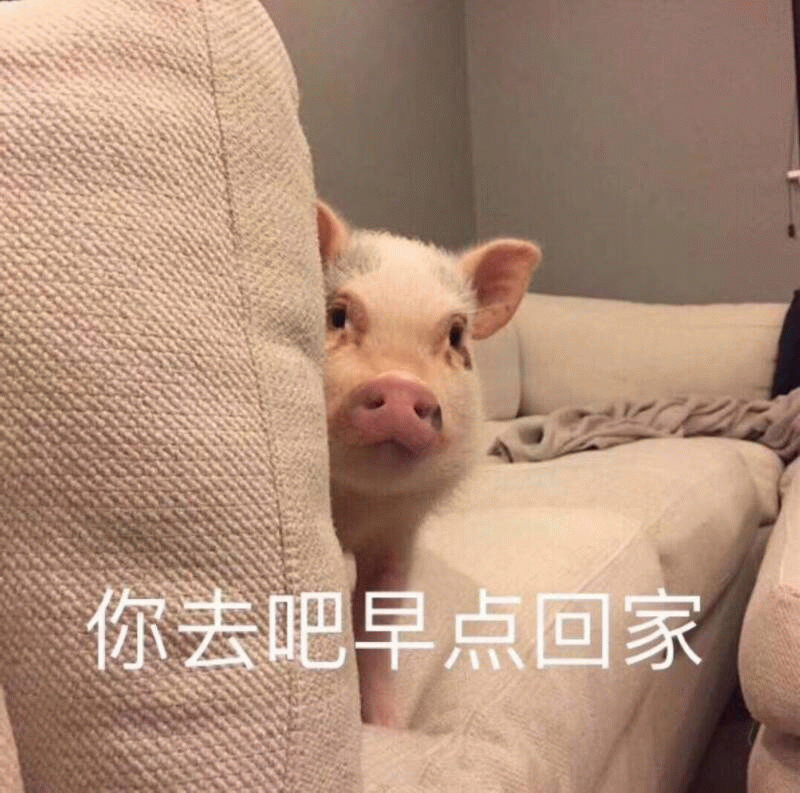 偷看的小猪说你去吧早点回家