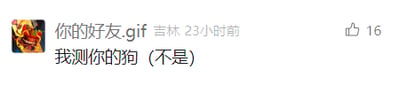 这是一张社交媒体平台的用户动态截图，发布者昵称为“你的好友.gif”，显示IP属地为吉林，发布时间为23小时前，动态内容为“我测你的狗（不是）”，其中“我测你的狗”是脏话的谐音变体，括号内的“不是”用于消解内容的冒犯性，制造出反差搞笑的效果，该动态获得了16个点赞，整体风格轻松搞怪，是网络社交中常见的玩梗内容。