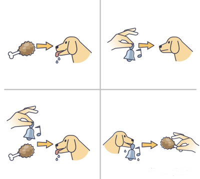 这是一张四格卡通漫画，展示了狗狗经典条件反射的形成过程。第一格（左上）：一根带肉的骨头指向黄色狗狗，狗狗流着口水；第二格（右上）：一只手拿着铃铛摇晃（有音符）指向狗狗，狗狗没有反应；第三格（左下）：铃铛和骨头同时出现指向狗狗，狗狗再次流口水；第四格（右下）：仅铃铛摇晃指向狗狗，狗狗开始流口水并看向铃铛，表明条件反射已形成。