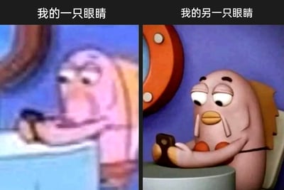 这是一张左右分栏的对比梗图，左侧画面是《海绵宝宝》里的路人鱼角色，画面整体模糊，上方配文“我的一只眼睛”，模拟长时间盯着手机屏幕后，一只眼睛因视觉疲劳变得模糊的状态；右侧画面是同款角色的清晰画面，角色双眼无神、眼皮半耷拉，正低头看着手机，上方配文“我的另一只眼睛”，呈现出用眼过度后的疲惫模样。整张图通过清晰与模糊的画面对比，结合精准的文字配文，生动调侃了当代人长时间使用电子设备、用眼过度的日常状态，容易引发网友共鸣。