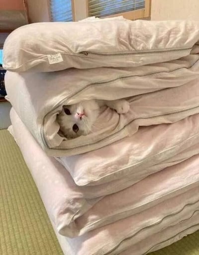 一只白色猫咪从一堆叠起来的浅色被子中探出头来，只露出小脑袋和一只爪子。猫咪有着圆圆的大眼睛和粉色的鼻子，表情看起来既好奇又有点无辜。背景中可以看到房间的窗户和部分家具，整体氛围温馨舒适。