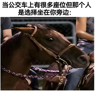 图片上方配有文字'当公交车上有很多座位但那个人是选择坐在你旁边：'，下方是一张真实拍摄的马的特写照片。马戴着缰绳，侧头看向一旁，眼神中带有明显的困惑和不解，形象地比喻了当公交车上明明有很多空位，却有人特意选择坐在自己旁边时的尴尬与疑惑心情。
