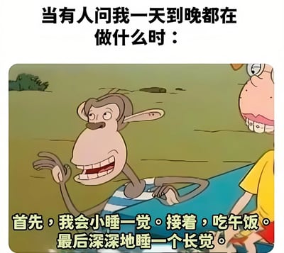 图片上方有文字'当有人问我一天到晚都在做什么时：'，下方是卡通猴子形象，旁边配有文字'首先，我会小睡一觉。接着，吃午饭。最后深深地睡一个长觉。'。猴子表情欢快，似乎在轻松地解释自己的日常作息，整体营造出一种自嘲式的搞笑氛围，反映了人们对简单、慵懒生活的调侃。