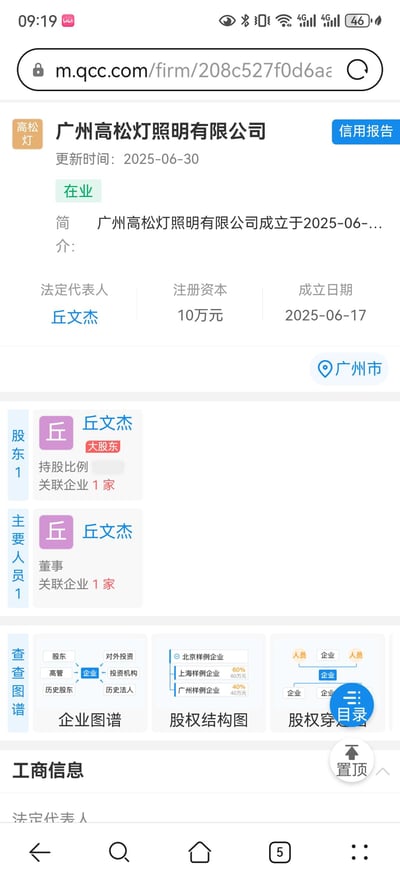 这是企查查（m.qcc.com）移动端网页上广州高松灯照明有限公司的企业信息详情页截图，页面显示该公司处于在业状态，更新时间为2025年6月30日。公司成立于2025年6月17日，注册资本10万元，法定代表人为丘文杰，丘文杰同时是该公司的大股东及董事，公司所在地为广州市，页面还提供企业图谱、股权结构图等查询入口，下方展示工商信息板块。
