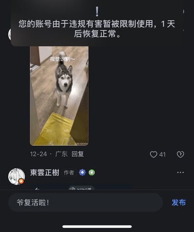 这是一张短视频社交平台的界面截图，顶部弹出提示显示账号因违规有害被限制使用1天，下方是用户「東雲正樹」的发布界面，输入框内写着「爷复活啦！」，界面中还有一条12月24日来自广东的评论，评论内容是配文「视觉识别~」的哈士奇动图，狗狗呆萌地看向镜头，整体呈现出账号解封后用户兴奋搞怪的状态，用反差感制造搞笑效果。