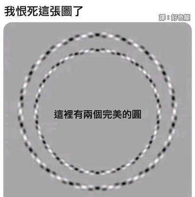 这是一张带有视觉错觉效果的静态梗图，画面主体是浅灰色背景上的两个同心圆环，圆环由黑白交替的点构成。图中包含三处文字：顶部是繁体中文“我恨死這張圖了”，右上角是“譯:好色龍”，圆环中间是“這裡有兩個完美的圓”。由于组成圆环的点的明暗分布规律，会给观看者造成视觉错觉，让观看者直观觉得这两个圆环的边缘是凹凸不平、并非标准圆形，但实际上这是两个完美的同心圆。这种认知上的强烈反差会让想要确认的观看者感到困扰，也呼应了顶部“我恨死這張圖了”的情绪表达，是一张利用视觉心理学制作的趣味梗图。