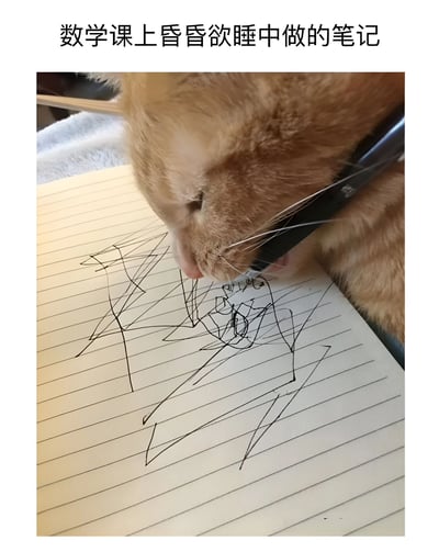 一只橘猫闭着眼睛，似乎在打瞌睡，嘴里叼着笔在笔记本上'写字'，笔记本上只有杂乱无章的线条，完全不像数学笔记。图片上方配有文字'数学课上昏昏欲睡中做的笔记'，幽默地表现了学生在数学课上犯困却仍试图做笔记的状态。