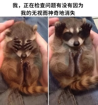 这是一张左右对比的搞笑图片，展示了一只浣熊的两种不同姿势。左边的浣熊用前爪捂住眼睛，右边的浣熊则用前爪捂住耳朵，配合上方文字"我，正在检查问题有没有因为我的无视而神奇地消失"，幽默地表达了人们面对问题时想要通过无视来让问题消失的心理状态。