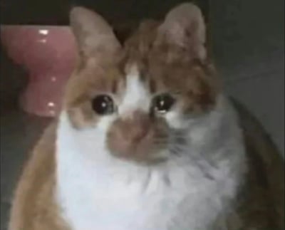 一张橘白相间猫咪的特写照片，猫咪有着圆圆的大眼睛，正直勾勾地盯着镜头，表情看起来有些惊讶和好奇。猫咪的毛色以橘色为主，脸部和胸部有白色毛发，耳朵竖立。背景中可以看到一个模糊的粉色物体，可能是一个杯子或容器。