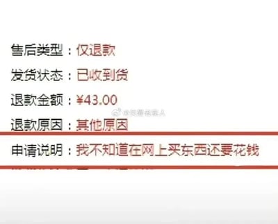 这是一张退款申请截图，显示售后类型为“仅退款”，发货状态为“已收到货”，退款金额43元，退款原因为“其他原因”。最引人注目的是申请说明：“我不知道在网上买东西还要花钱”，通过荒诞的理由制造幽默效果，吐槽网购中可能遇到的奇葩退款情况。