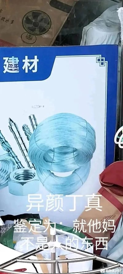这是一张基于建材广告图制作的网络玩梗图片，广告图中展示了蓝色铁丝圈、螺母、膨胀螺丝等五金建材，其中两圈上下叠放的蓝色铁丝圈因视觉错位，外形酷似一张人脸。图中添加了白色玩梗文字：“异颜丁真 鉴定为：就他妈不是人的东西”，其中“异颜丁真”是“一言定真”的谐音，借用了网络上“鉴定”类梗的句式，结合曾经的网络热点人物“丁真”的名号，调侃这个看起来像人脸的物体实际上是建材铁丝，并非人类。图片右下角带有“@孙笑川吧”的水印，表明其来源于百度贴吧的孙笑川吧社区。