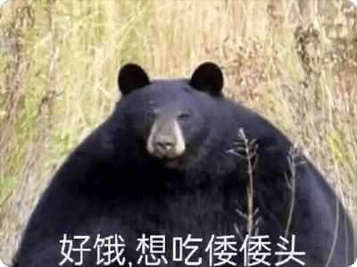 图中是一只体型圆滚滚的黑熊，它身处枯黄的草地背景中，表情平淡地看向镜头。图片下方配有文字“好饿，想吃倭倭头”，其中“倭倭头”是“窝窝头”的谐音趣味写法，用可爱的谐音表达出饥饿想吃东西的心情，让原本普通的黑熊照片变得搞笑又接地气，很适合用来在聊天时抒发自己的饥饿感。
