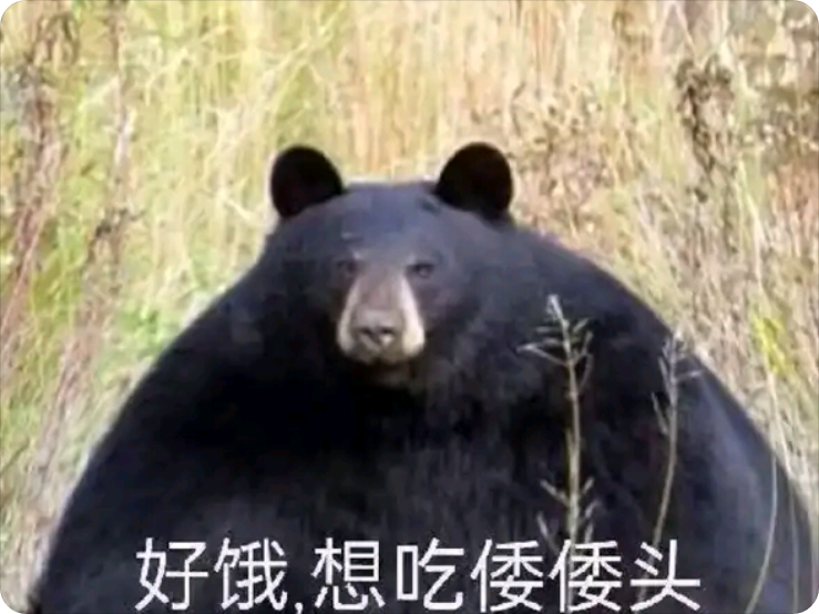 黑熊