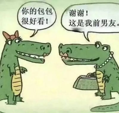 这是一张由两只卡通鳄鱼对话构成的搞笑梗图。左边的鳄鱼夸右边鳄鱼“你的包包很好看！”，右边鳄鱼回应：“谢谢！这是我前男友。”，表情自信带点幽默。这里“包包”其实指的是鳄鱼皮包，但对话暗示她是用前男友做成了包包，形成黑色幽默的双关梗，讽刺又有点荒诞。整体画风简单可爱，让人忍俊不禁。双关梗在于“鳄鱼包”和“前男友”两个身份的切换。
