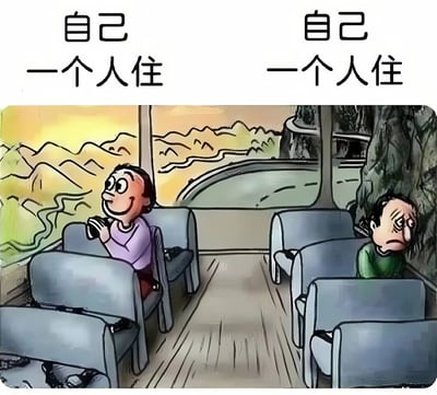 这是一张对比风格的卡通插画，描绘了同一个人独居的两种不同状态。左侧人物面带微笑，手持相机望向窗外美丽的山水风景；右侧人物则显得沮丧疲惫，低头蜷缩在座位角落。上方文字重复"自己一个人住"，通过强烈的情绪对比展现独居生活的双面性。