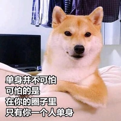 这是一张图文混排的静态表情包，主体是一只浅棕色的柴犬，它前爪搭在柔软的平面上，表情带着无奈与惆怅。图片左下角配有白色的吐槽文字：“单身并不可怕，可怕的是在你的圈子里只有你一个人单身”，精准戳中了社交圈里唯一单身者的尴尬处境，容易引发有相同经历的人的共鸣，常被用于社交平台调侃单身相关的话题。