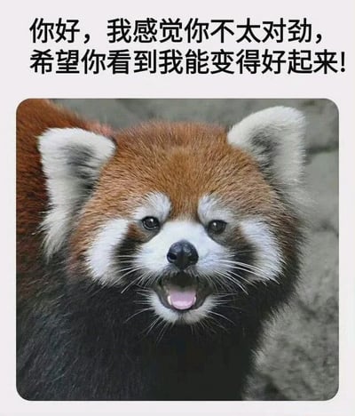 图片上方为黑色中文文字“你好，我感觉你不太对劲，希望你看到我能变得好起来！”，下方是一张小熊猫的特写照片。小熊猫有着棕色的头部毛发，白色的耳朵内侧和眼周，黑色的鼻子和嘴巴微张，露出粉色的舌头，眼神直视镜头，表情显得亲切友好。整体画面传递出温暖治愈的氛围，旨在通过可爱的动物形象和贴心的文字给人带来安慰。