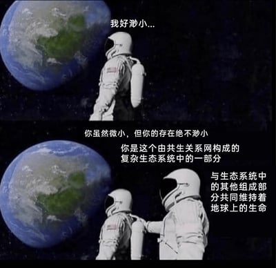 这是一张由上下两部分构成的连环静态图，背景为太空与地球。上半部分中，一位身着宇航服的宇航员望着地球，配文“我好渺小...”，传递出个体在宏大宇宙面前的自我怀疑与低落情绪；下半部分里，另一位宇航员上前轻拍前者的肩膀，用一段关于生态系统的话语进行安慰，内容为“你虽然微小，但你的存在绝不渺小 你是这个由共生关系网构成的复杂生态系统中的一部分 与生态系统中的其他组成部分共同维持着地球上的生命”，以此传递出每个个体在生态系统中都具备独特且不可替代的价值，为陷入自我否定的人提供温暖的心理慰藉，同时也科普了生态系统的共生关系。