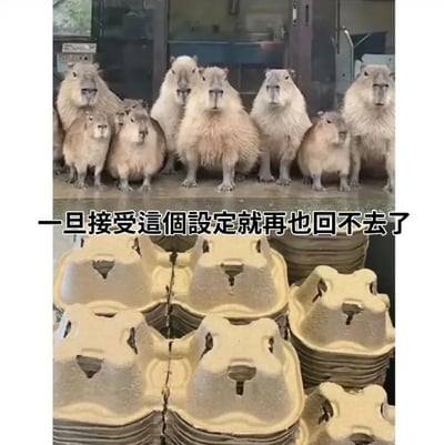 这是一张上下拼接的静态对比图，上半部分是多只大小不一的水豚整齐蹲坐，表情严肃地直视镜头，排列规整；下半部分是堆叠在一起的纸浆蛋托，蛋托的造型轮廓与水豚的面部特征高度相似，尤其是孔洞和凸起的组合，看起来就像是水豚的脸。图中配有繁体中文文字“一旦接受這個設定就再也回不去了”，意思是当观众发现蛋托与水豚的视觉相似性后，便会产生视觉错觉，再看蛋托时无法摆脱它像水豚的印象，利用这种趣味的视觉巧合制造出搞笑的效果。