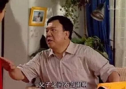 父子之间不言谢 家有儿女经典台词截图