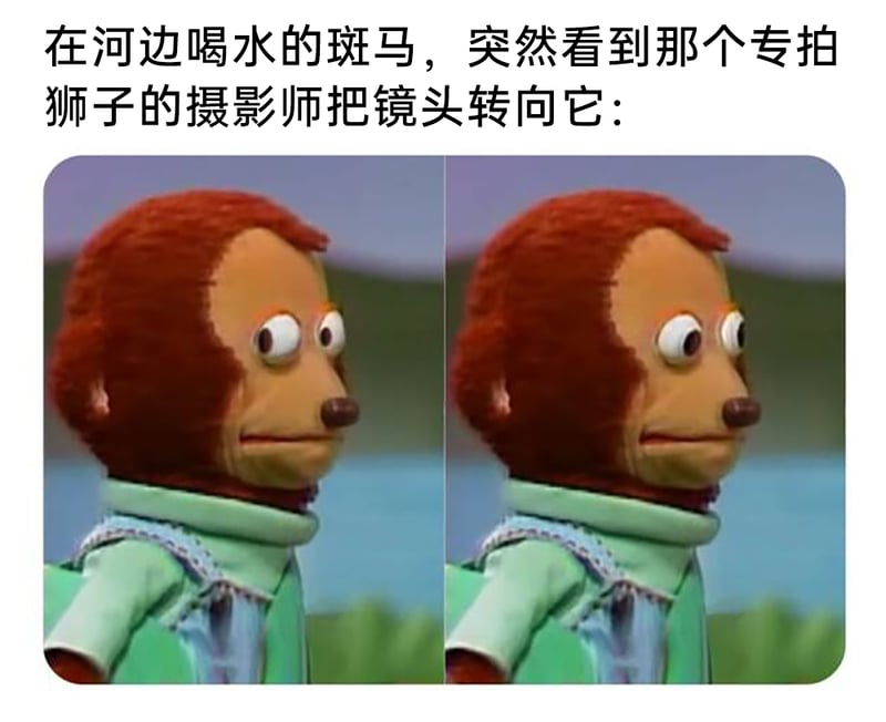 韩国搞笑短片《大耳朵猴子》