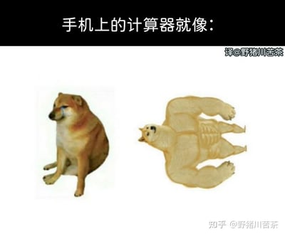 图片上方有文字'手机上的计算器就像：'，下方左侧是一只流泪的柴犬，表情悲伤；右侧是一只肌肉发达、仰卧展示强壮体魄的熊。通过对比两种动物的形象，幽默地比喻手机计算器看似普通（如悲伤柴犬般不起眼）却功能强大（如肌肉熊般有实力）的特点。